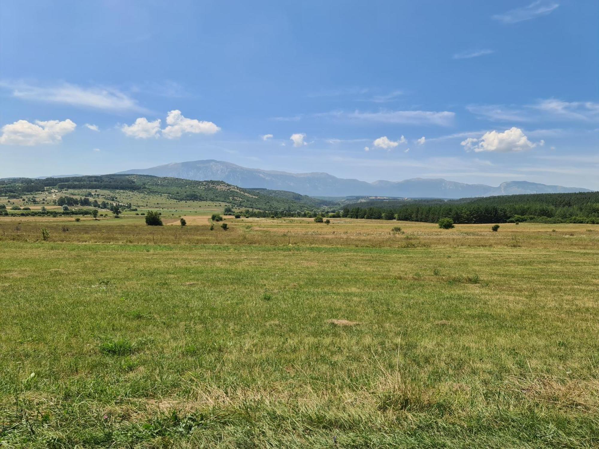 Dora Apartment Livno Bagian luar foto
